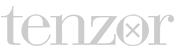 Tenzor logo